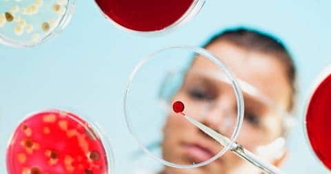 Civilisation in vitro : « On crée des bio-objets sans les maîtriser, à la manière de Frankenstein »