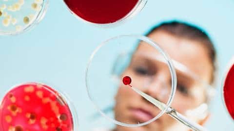 Une chercheuse manipule de la matière dans une boîte de pétri