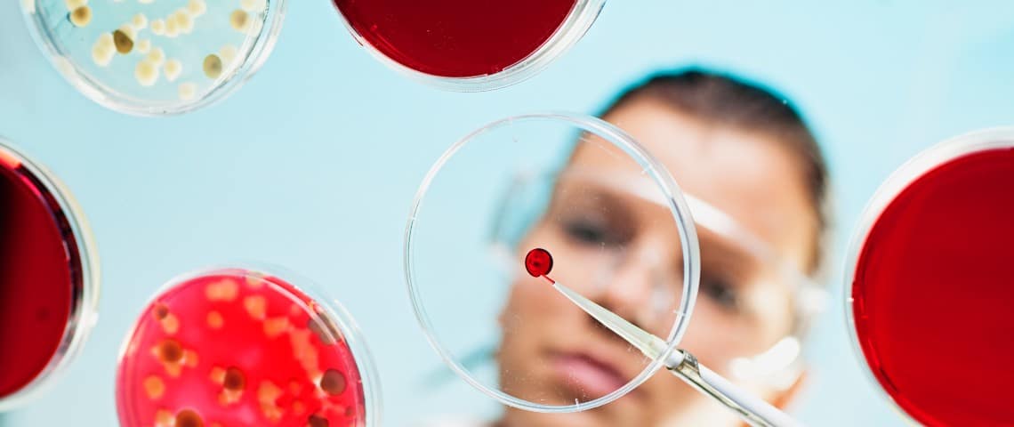 Civilisation in vitro : « On crée des bio-objets sans les maîtriser, à la manière de Frankenstein » Une chercheuse manipule de la matière dans une boîte de pétri