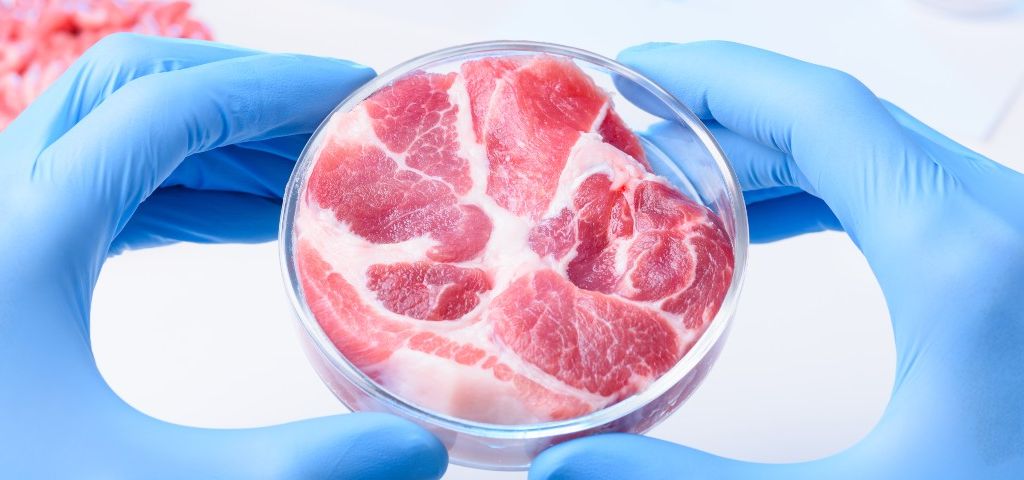 Un steak dans une boîte de pétri