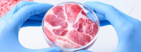 Les protéines alternatives attirent les investisseurs Un steak dans une boîte de pétri