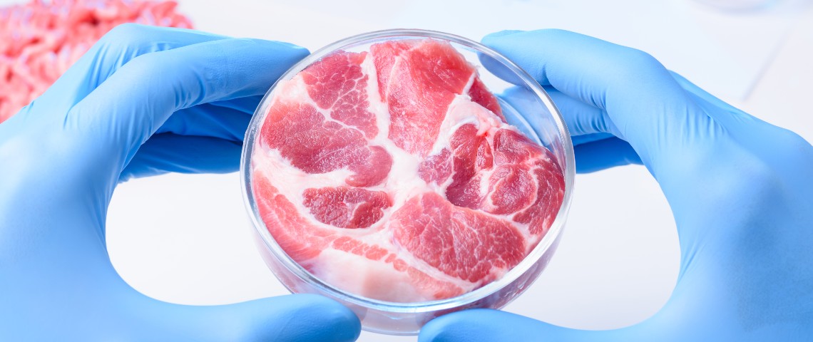 Les protéines alternatives attirent les investisseurs Un steak dans une boîte de pétri