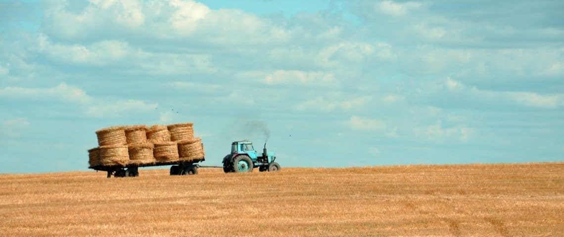 Transition alimentaire : comment les entreprises peuvent-elles jouer un rôle central ? Des meules dans un champ
