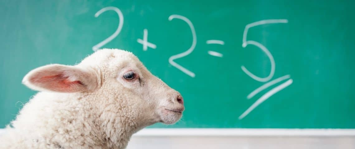 lafp-projets-europeens-lutte-contre-la-désinformation-internet-web-fausses-informations Un mouton au premier plan. Un tableau vert avec une fausse équation mathématique.