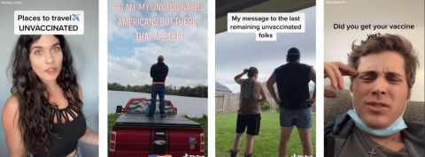 Les covidiots de TikTok Les covidiots de TikTok