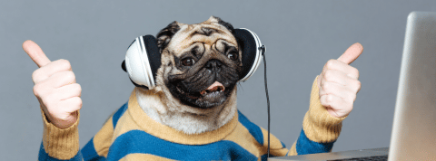 L'economie de la création est une arnaque L'economie de la création est une arnaque