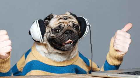 L'economie de la création est une arnaque