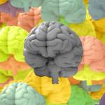 Plein de cerveaux de toutes les couleurs