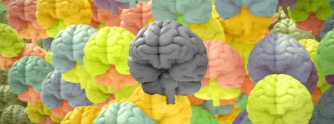 Comment recruter des personnes neurotypiques ? Plein de cerveaux de toutes les couleurs