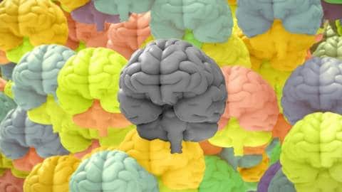 Plein de cerveaux de toutes les couleurs