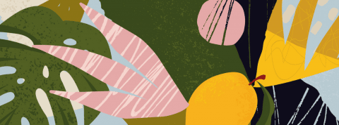 Comment la construction d'un nouvel imaginaire peut aider l'écologie Des feuilles et des citrons illustrés