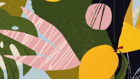 Des feuilles et des citrons illustrés