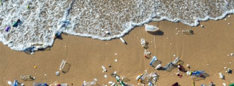 Des microrobots pour nettoyer les océans Des déchets plastiques sur une plage au bord de l'eau