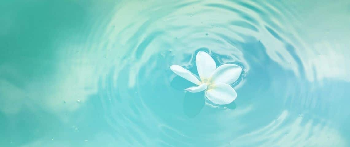 Inovaya mis en place un système écoresponsable grâce à la technologie unYo® pour rendre potable sans traitement par produits chimiques Eau avec une fleur flottant à la surface