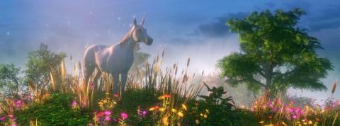 Quelles sont les licornes européennes les plus durables ? Une licorne dans la forêt