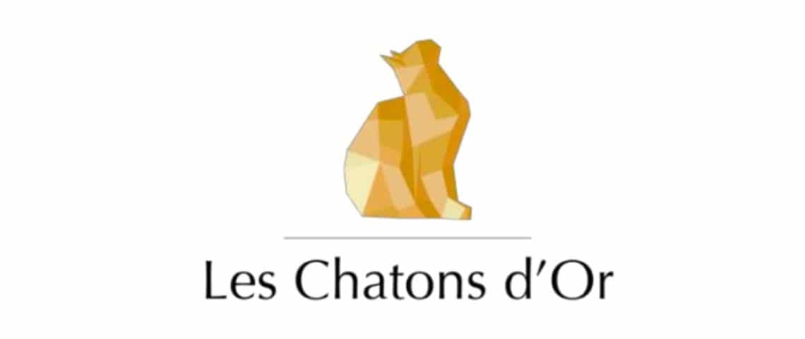 Les-chatons-dor-2021-creativite-innovation-idees-art-design-video-film Un chat couleur doré