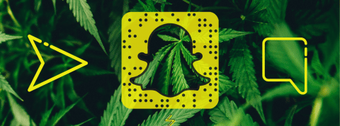 Snapchat : haut lieu du trafic illicite Logo Snapchat et Marijuana