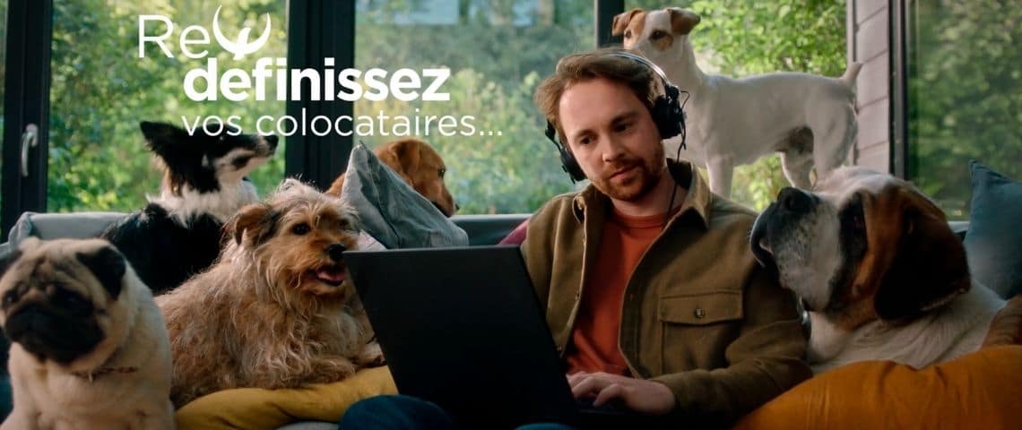 Maisons Phénix, constructeur de maisons individuelles du groupe Geoxia, revient en télévision avec une campagne pensée par son agence Josiane. homme assis sur un canapé, devant un ordinateur, entouré de chiens, avec le message : - Définissez vos colocataires -