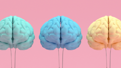 Fuite des cerveaux, le truc que Parcoursup n'avait pas prévu