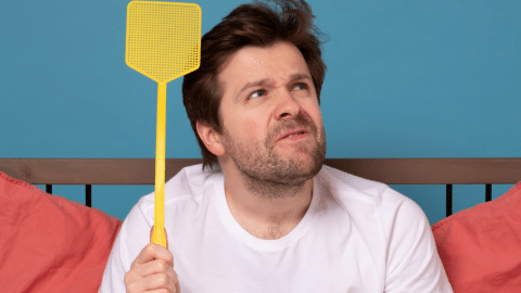 Le sleeping Giant dans le colimateur de Valeurs Actuelles et CNews