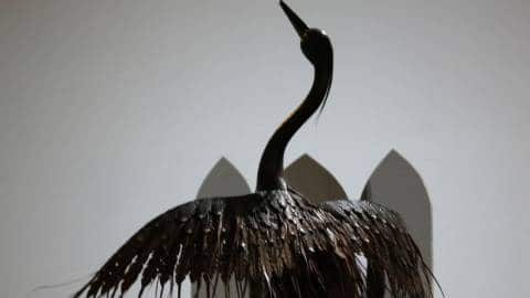 Un oiseau dans une marée noire