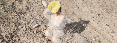 The Weight on the Land par Eve Tagny Dans le désert, une jeune femme au visage dissimulé par une grande feuille jaune