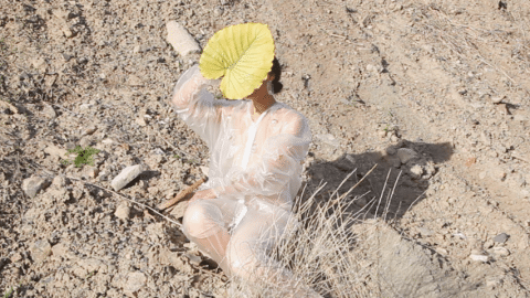 The Weight on the Land par Eve Tagny Dans le désert, une jeune femme au visage dissimulé par une grande feuille jaune