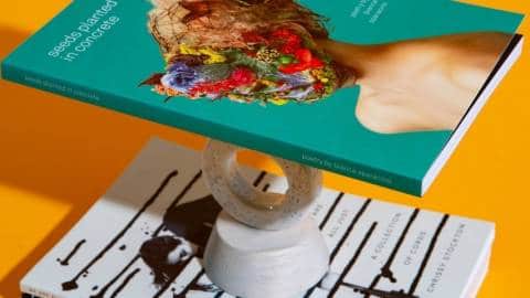 Le journalisme en peine de proximité