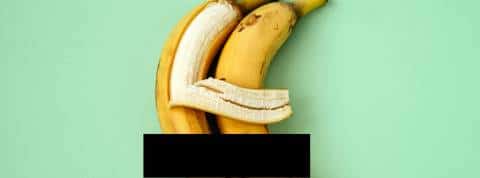 Les Napoleons explorent le plaisir à Arles deux bananes qui s'enlacent une barre noire figure leur intimité préservée