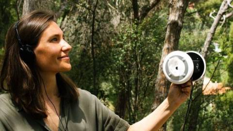 Climat : cette ONG transforme les sons de la planète en musique pour soutenir la recherche