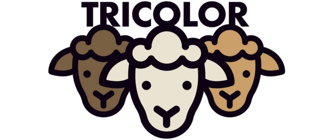 Le Collectif Tricolor a pour objectif de d'accompagner l'ensemble des professionnels de la filière afin de démultiplier les usages de laines françaises Moutons