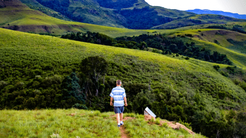Randonneur sur colline dans un paysage naturel vaste et vert