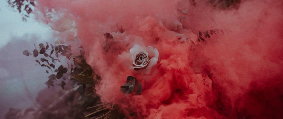 , WeTradeLocal est une plateforme tech permettant de connecter des unités de production agricole locales de toute taille avec des unités de transformation artisanales indépendantes Rose blanches avec une fumée rose