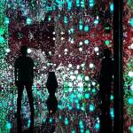 Une oeuvre immersive dans les yeux d'un animal, plein de lumières de se mélangent aux silhouettes