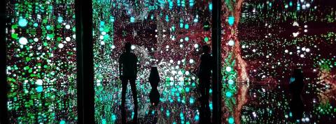 In the eyes of an animal Une oeuvre immersive dans les yeux d'un animal, plein de lumières de se mélangent aux silhouettes