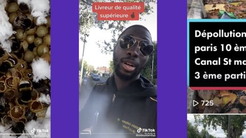 apiculteur, livreur, éboueur sur TikTok