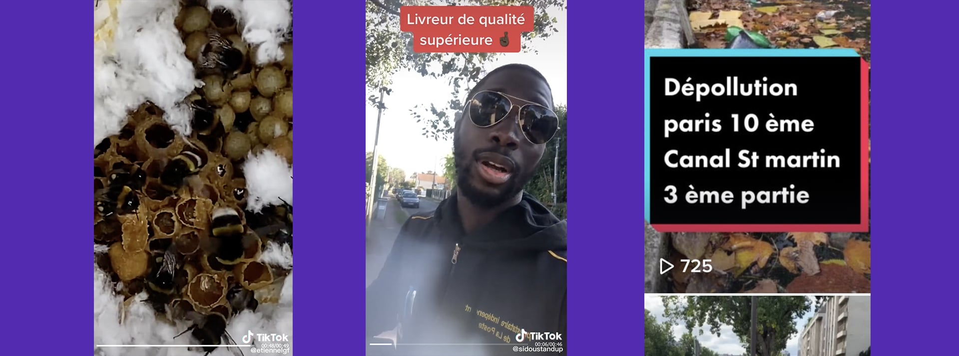 TikTok apiculteur, livreur, éboueur sur TikTok