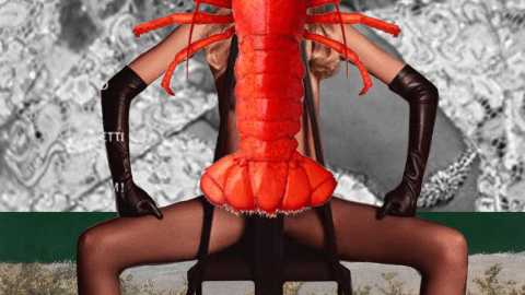 Une femme assise sur une chaise les jambes écartées avec un homard rouge dessus