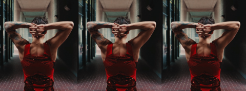 C'est quoi le queerbaiting ? Harry Styles