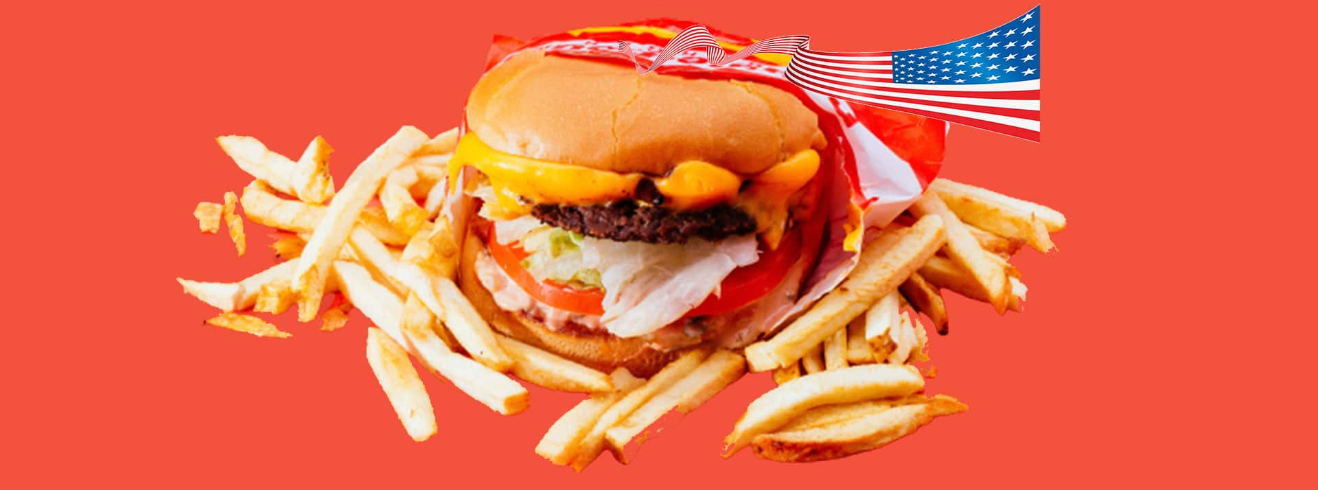 Burger - L'ADN Burger et frites avec drapeau US
