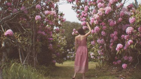 une femme en robe rose de dos dans l'herbe à côté d'arbres en fleurs