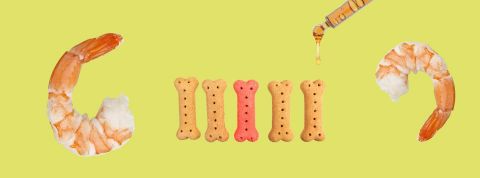 Croquettes, fruits de mer, antilope... C'est fou tout ce qu'on cultive en laboratoire Crevettes et croquettes et éprouvette sur fond jaune