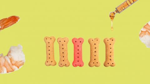 Crevettes et croquettes et éprouvette sur fond jaune