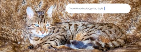 Pascale-Gueret-viaGetty