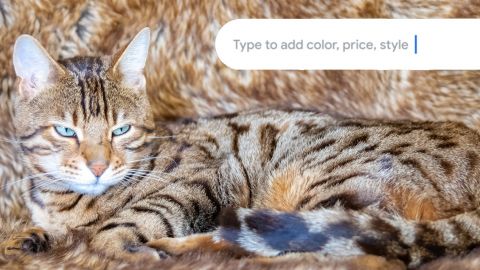 Pascale-Gueret-viaGetty