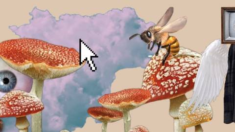 « Vaporwave », « weirdcore »... Plongée dans Aesthetics Wiki, cette « bible » des esthétiques d’Internet « Vaporwave », « weirdcore »... Plongée dans Aesthetics Wiki, cette « bible » des esthétiques d’Internet