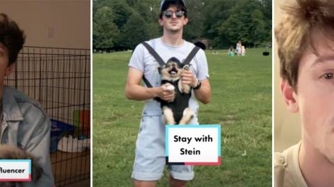 Du vlog à la fiction autobiographique : comment le créateur Jack Usher a percé sur TikTok