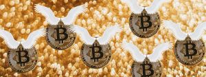 Envol de bitcoins avec des ailes