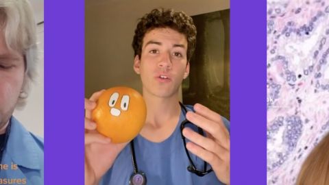 Trois TikTokeurs vulgarisateurs de sciences complexe