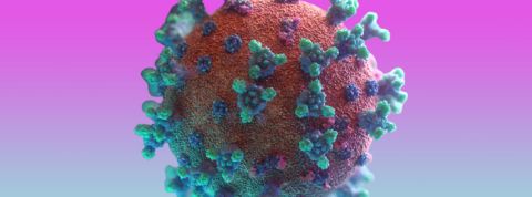 virus virus